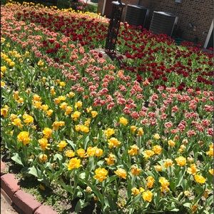 Meet your Posher, Shelbshelby